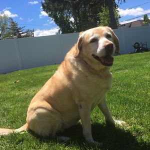 Meet your Posher, Marisa